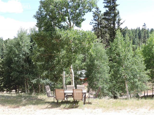 1278 Ridge Road Divide, CO 80814 - Photo 12 of 14