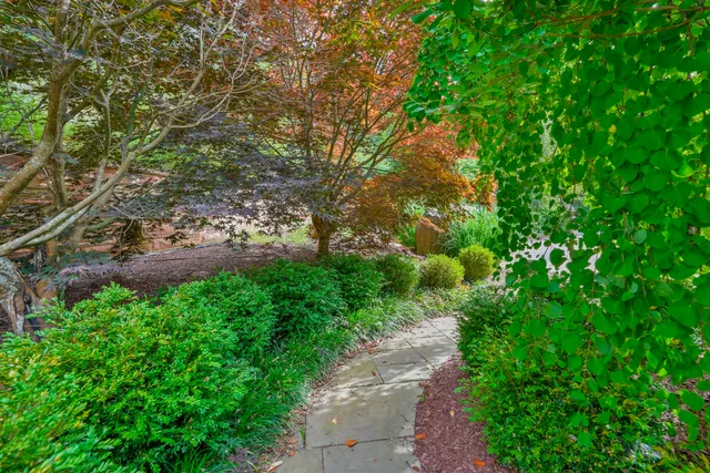 a view of a garden with a tree