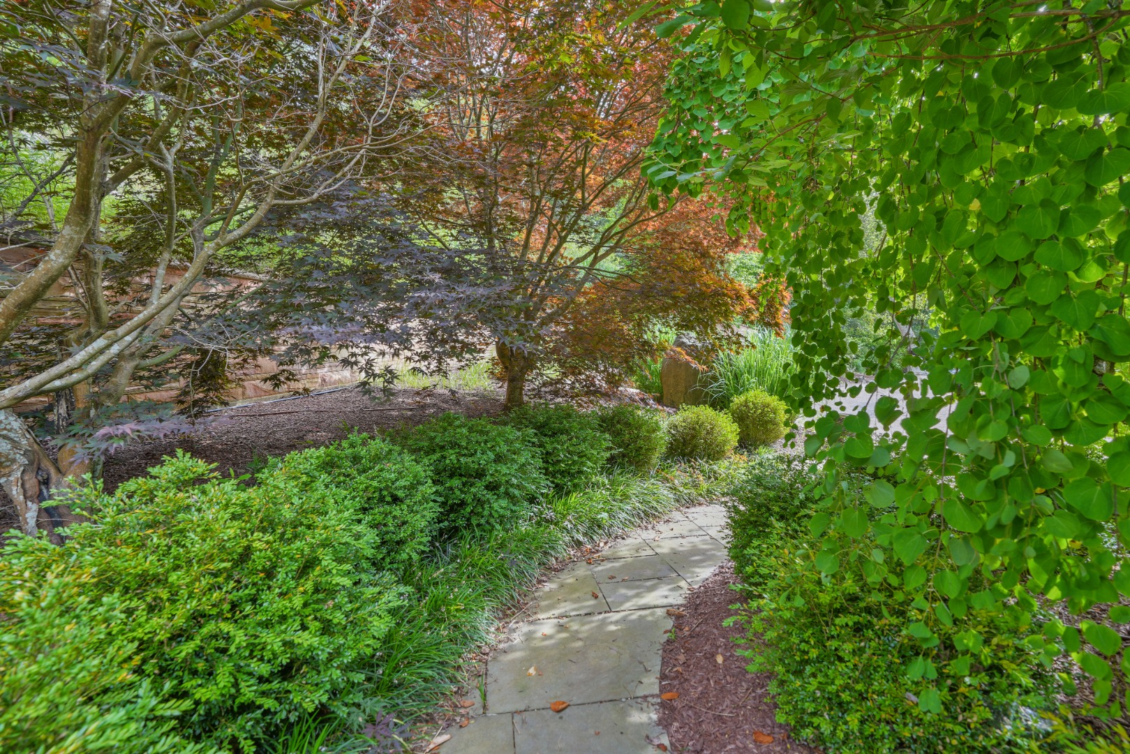 400 Barnes Road Oak Bluffs, MA 02568 - Photo 41 of 45 a view of a garden with a tree