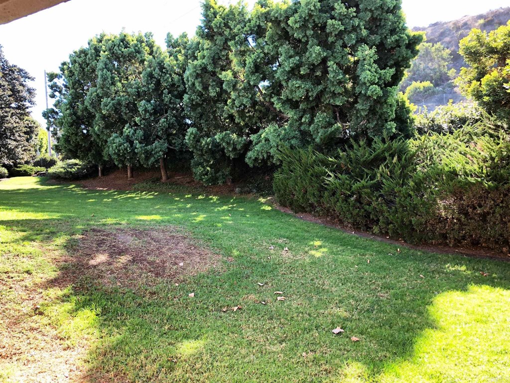 800 Encinitas Boulevard, Unit 105 Encinitas, CA 92024 - Photo 10 of 12