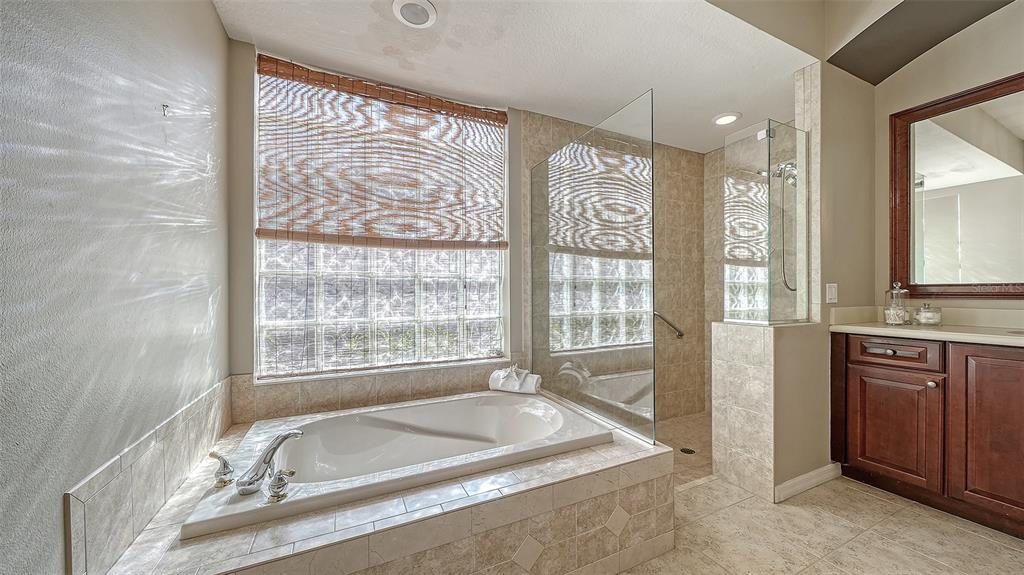 664 Crane Prairie Way Osprey, FL 34229 - Photo 35 of 69 a bathroom with a tub sink and mirror