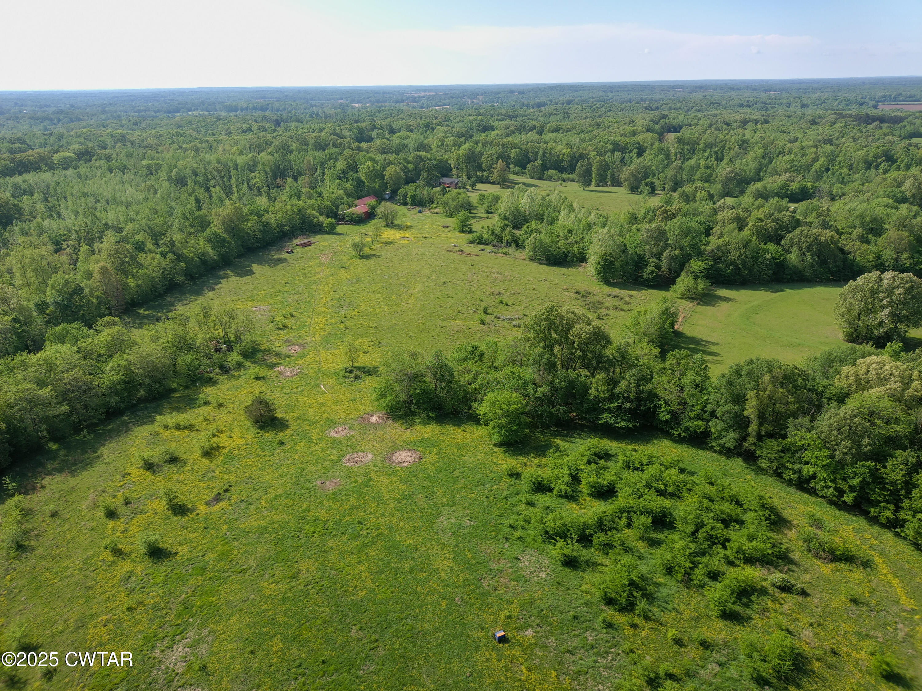 300 Archibald Road Stanton, TN 38069 - Photo 21 of 22 a view of a green yard with large trees