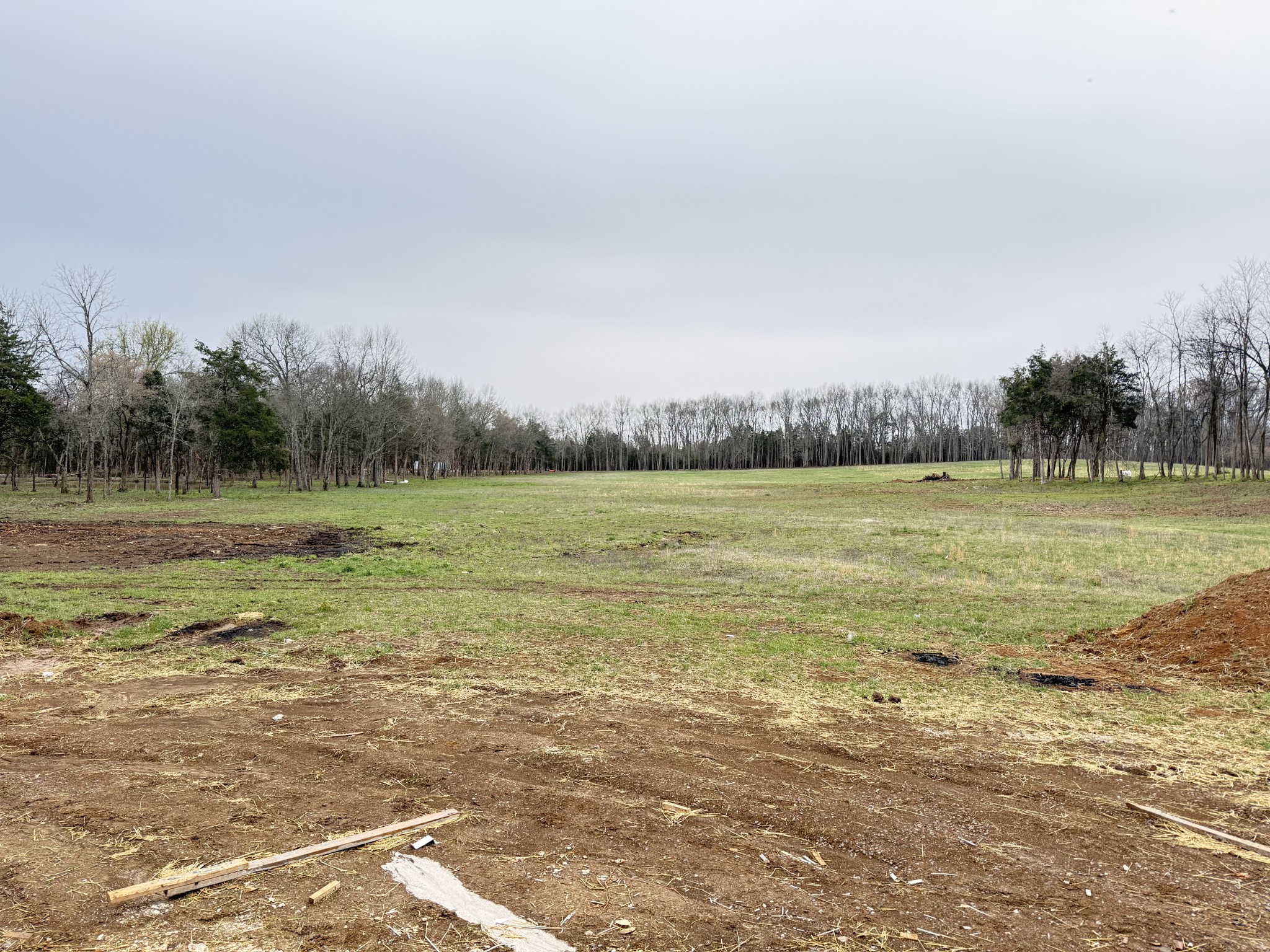 2817 Unionville Road Chapel Hill, TN 37034 - Photo 25 of 27 a view of a field with trees in the background