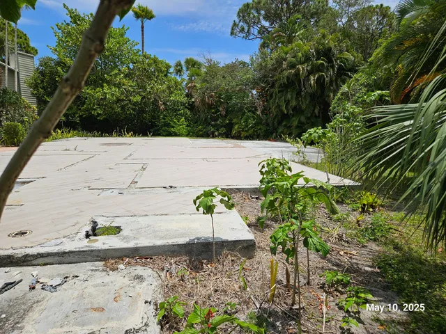 a view of a garden with flowers
