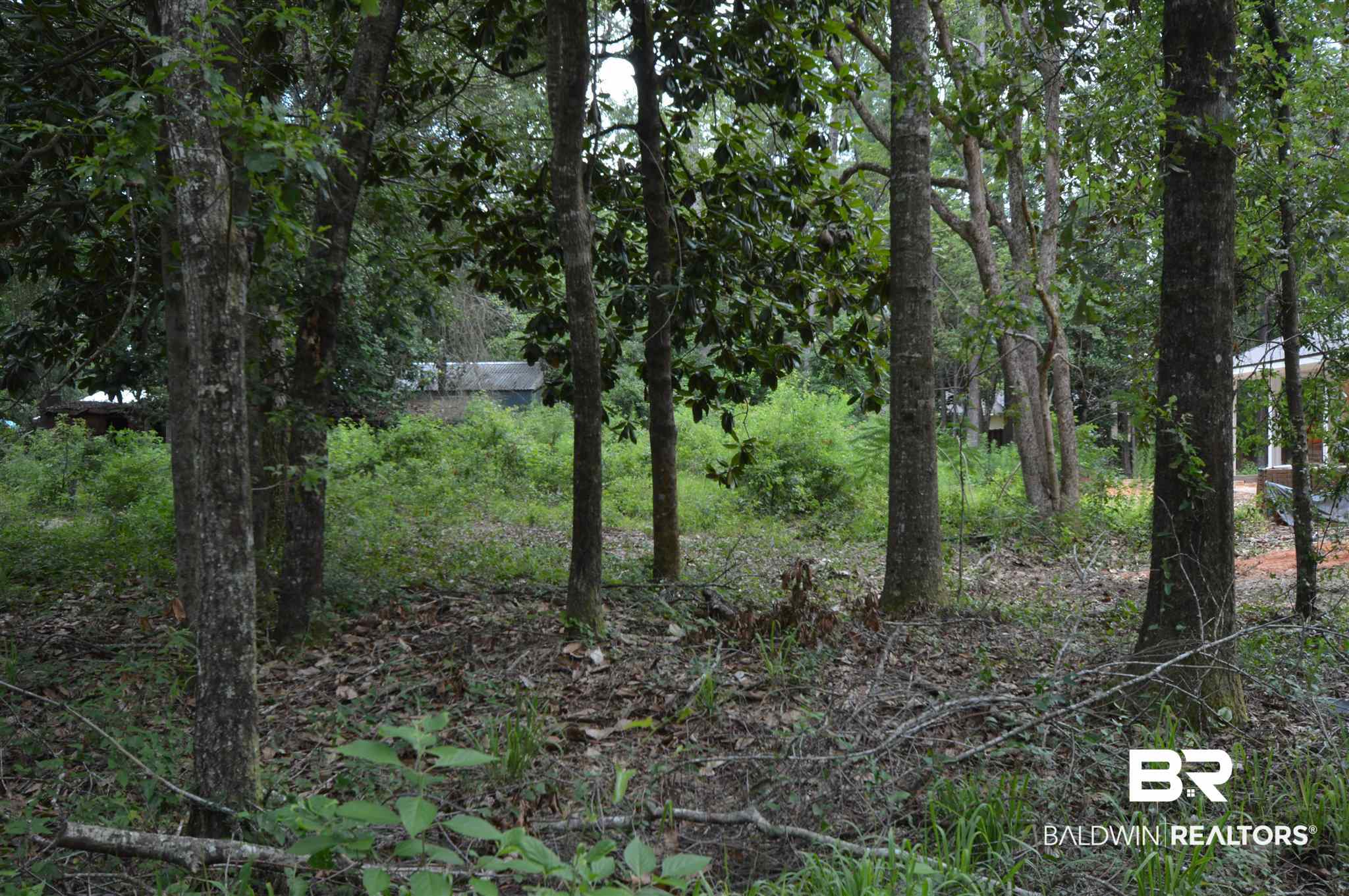 Lot 3 3rd Street Lillian, AL 36549 - Photo 3 of 10