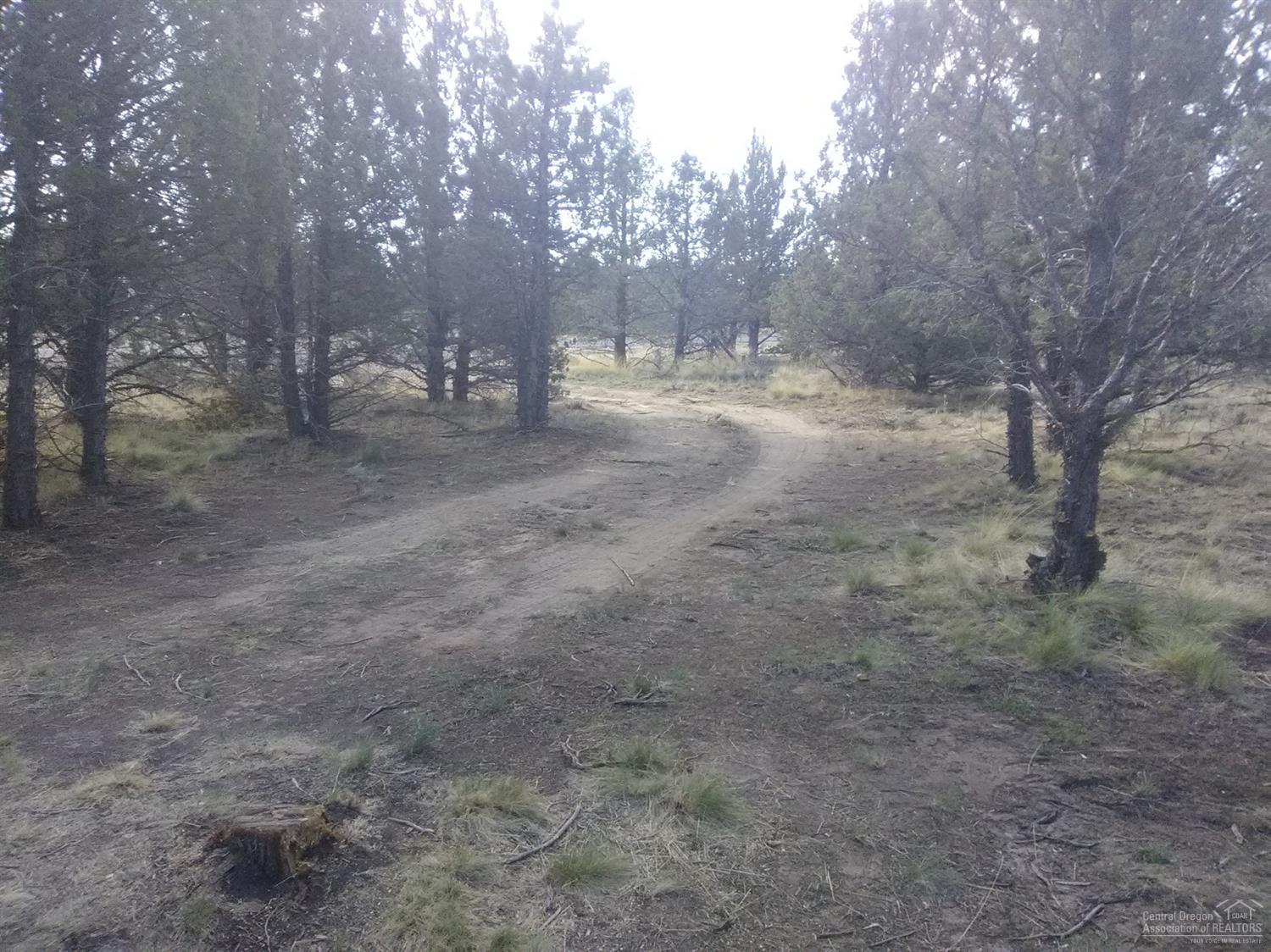 0 Southeast Cayuse Road Prineville, OR 97754 - Photo 5 of 8 Additional Photo