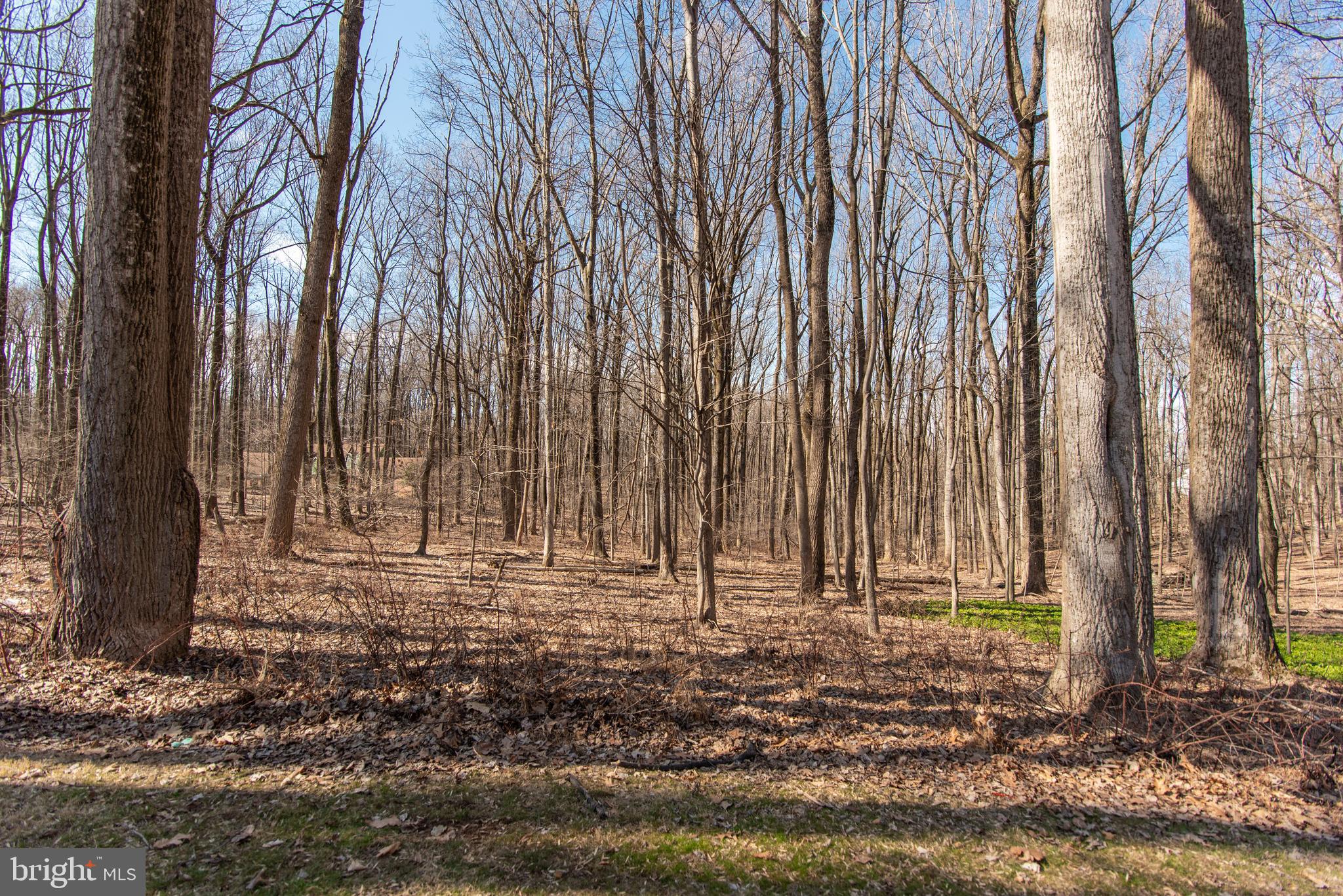 902 Timber Run Road Reisterstown, MD 21136 - Photo 58 of 64 Gallery Image 58