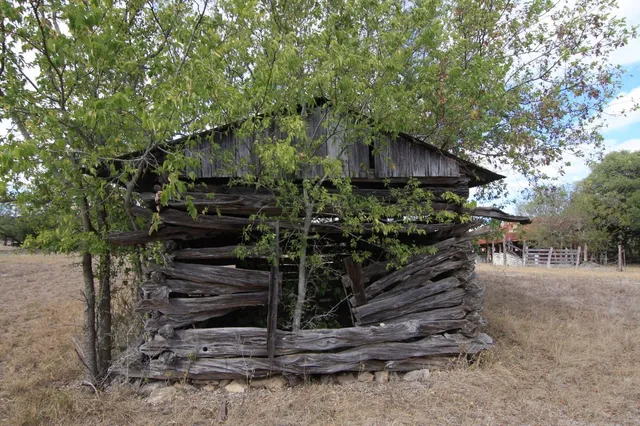 a view of tree with a house