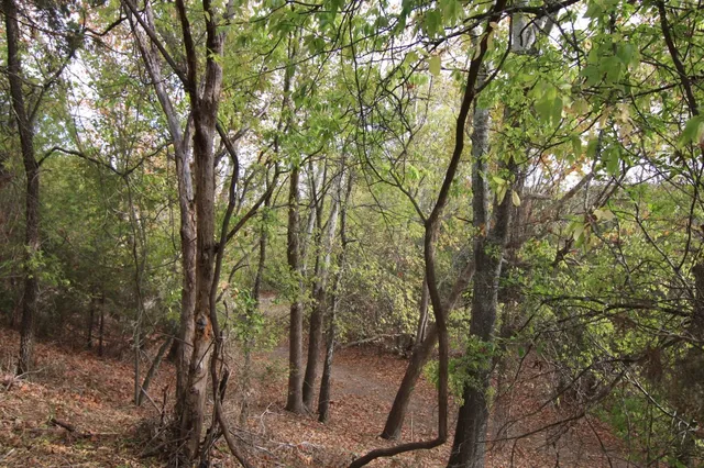 a view of covered with backyard of house