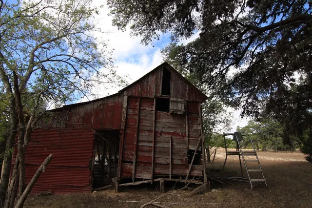 a view of a forest with a houses