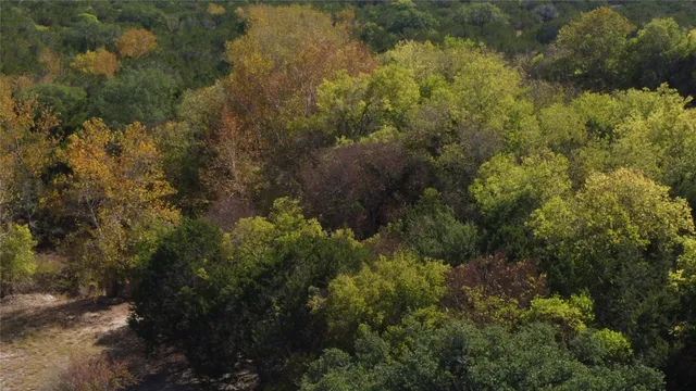 a view of a forest with a houses
