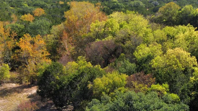 a view of a house with a lush green forest
