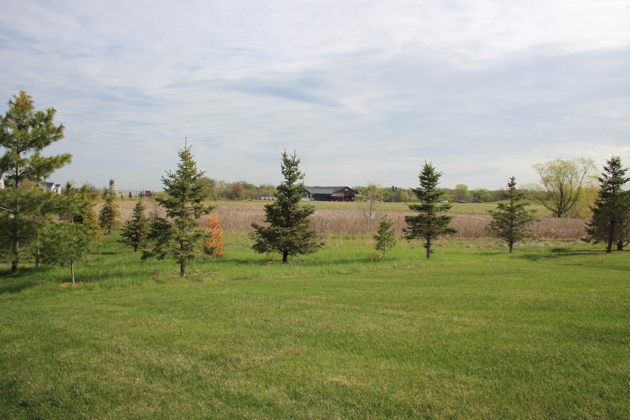 19236 101st Place Rogers, MN 55374 - Photo 3 of 36