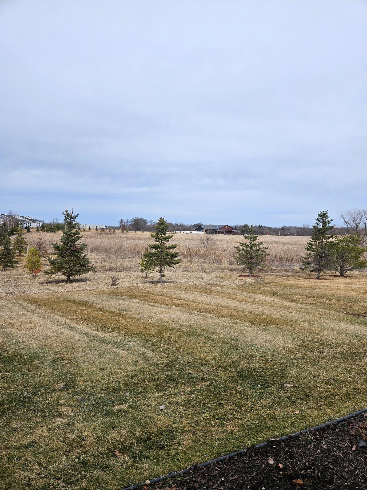 19236 101st Place Rogers, MN 55374 - Photo 7 of 36