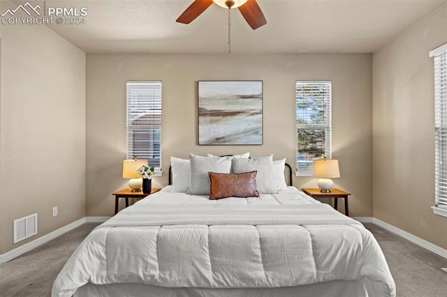 2464 Cinnabar Road Colorado Springs, CO 80921 - Photo 17 of 43 Carpeted bedroom with multiple windows, ceiling fan, and a textured ceiling