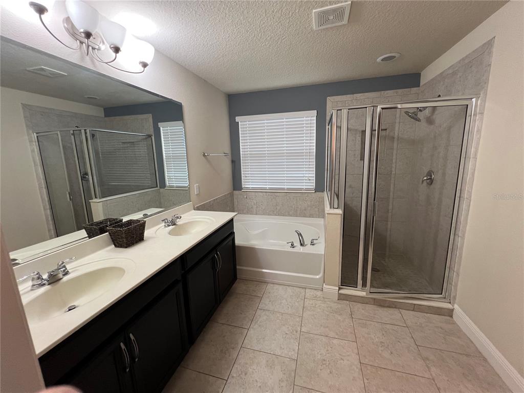 10742 Sunset Ridge Lane Orlando, FL 32832 - Photo 19 of 40 a bathroom with a tub a sink double vanity and a mirror