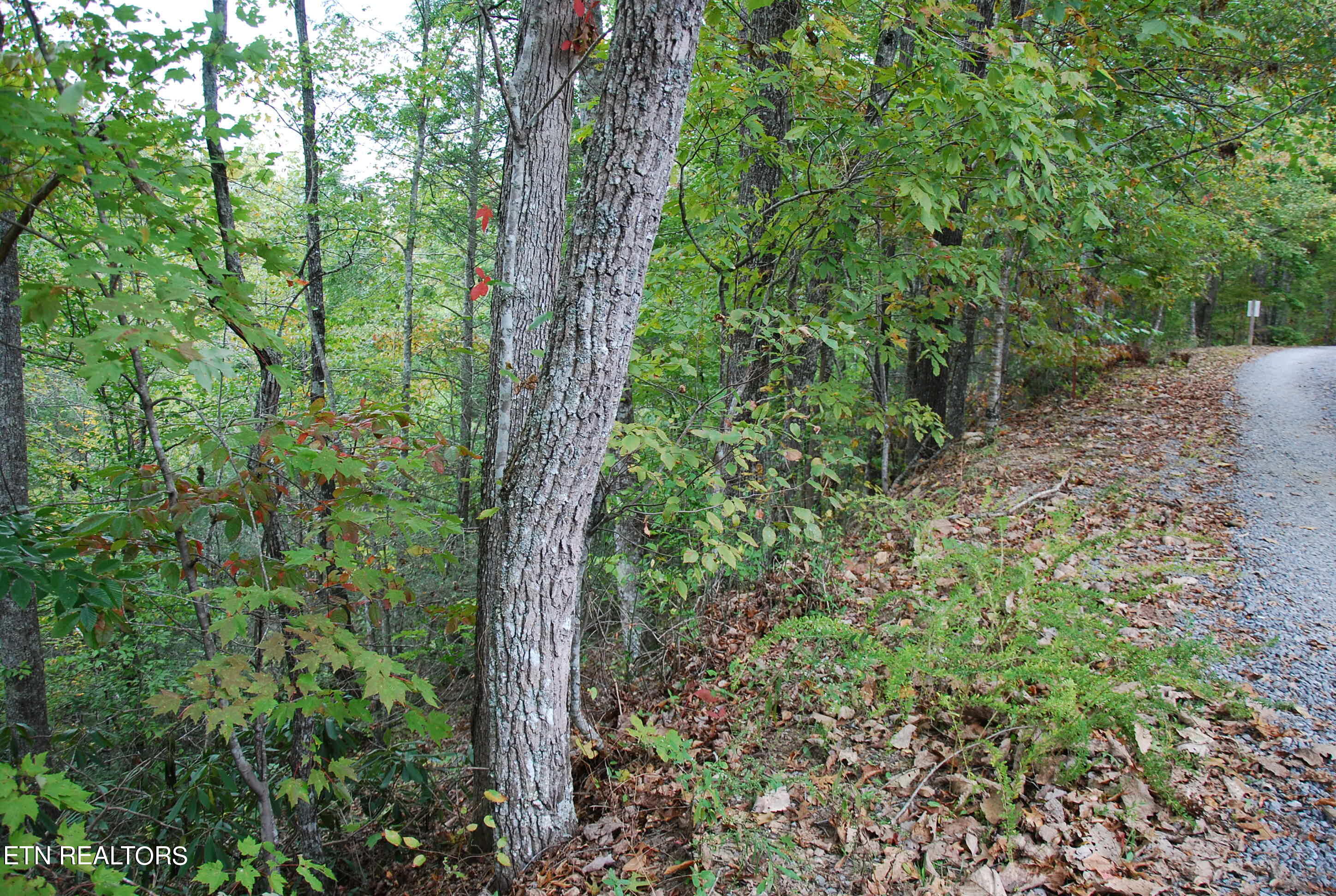 2017 Ridgecrest Loop Lane Sevierville, TN 37876 - Photo 11 of 17 DSC_0349