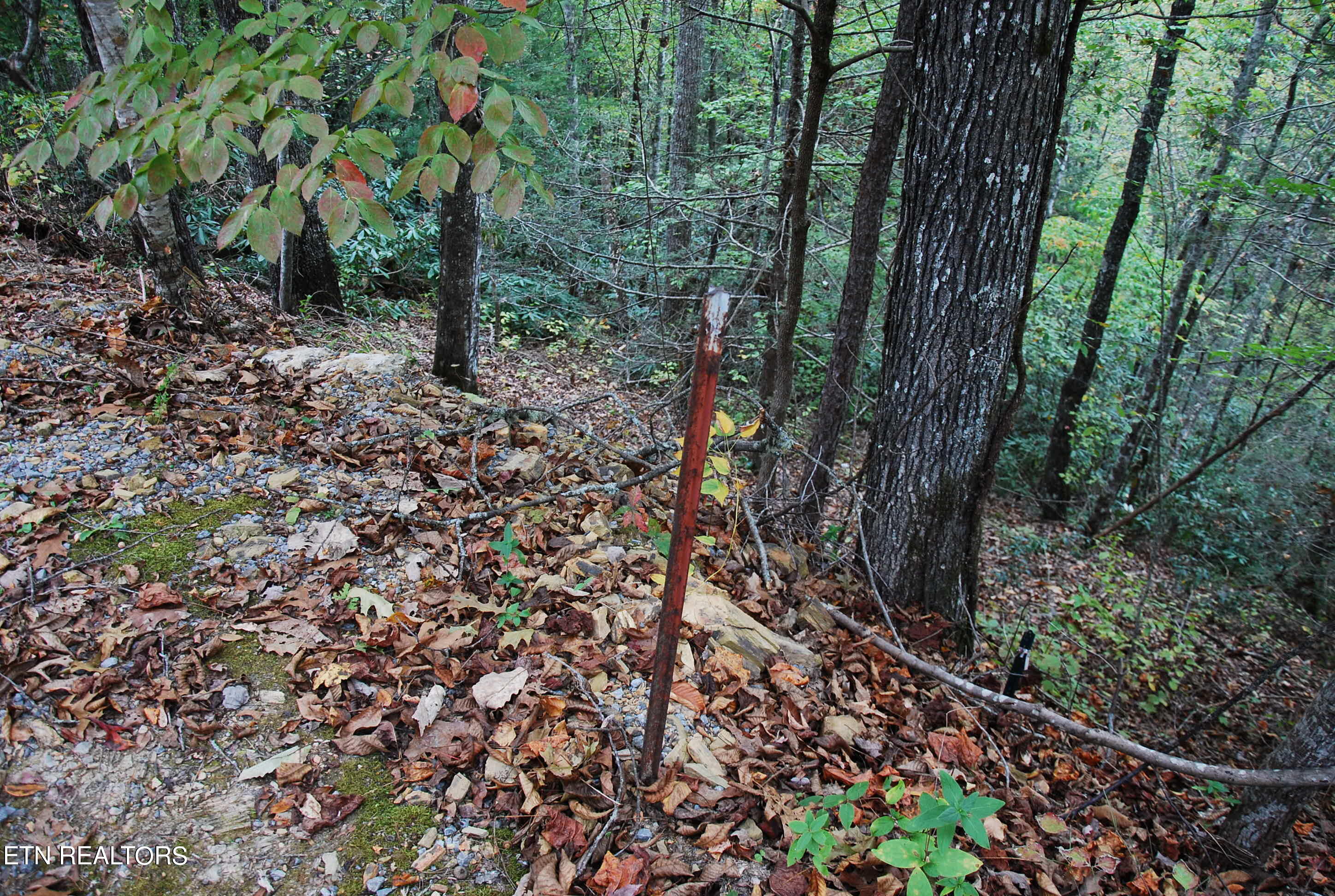 2017 Ridgecrest Loop Lane Sevierville, TN 37876 - Photo 12 of 17 DSC_0351