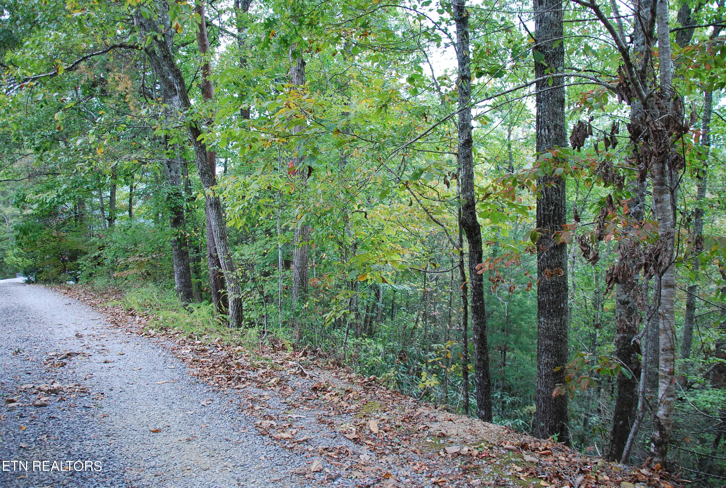 2017 Ridgecrest Loop Lane Sevierville, TN 37876 - Photo 13 of 17 DSC_0352