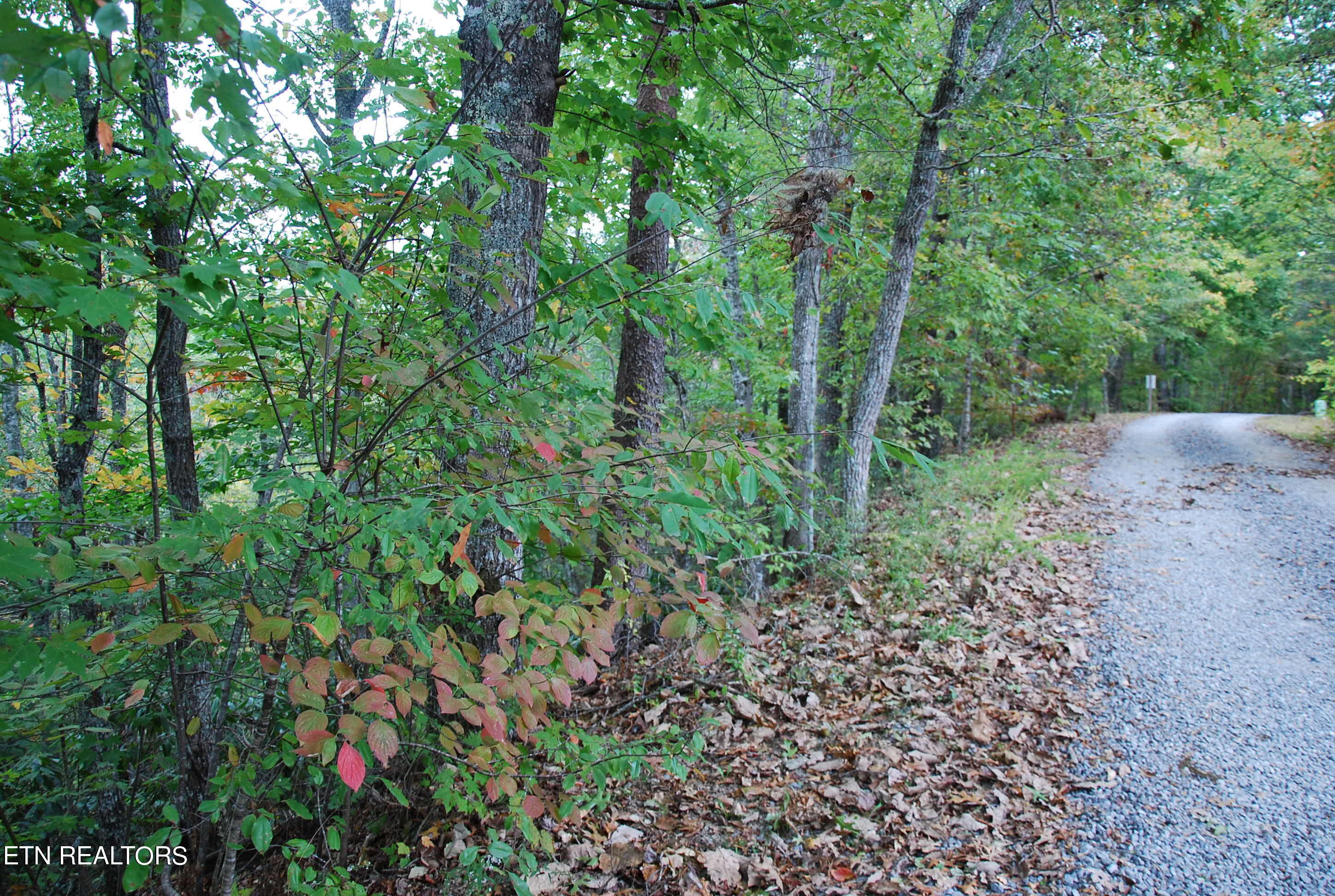 2017 Ridgecrest Loop Lane Sevierville, TN 37876 - Photo 2 of 17 DSC_0340