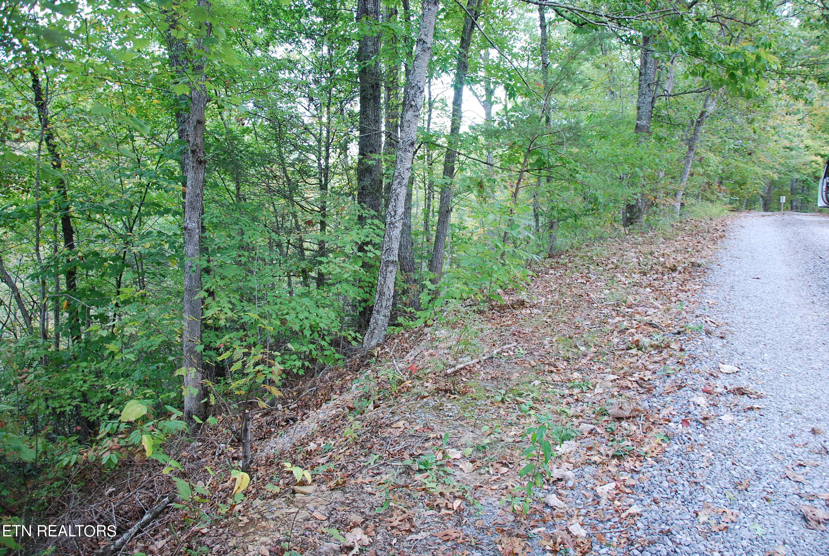 2017 Ridgecrest Loop Lane Sevierville, TN 37876 - Photo 4 of 17 DSC_0342