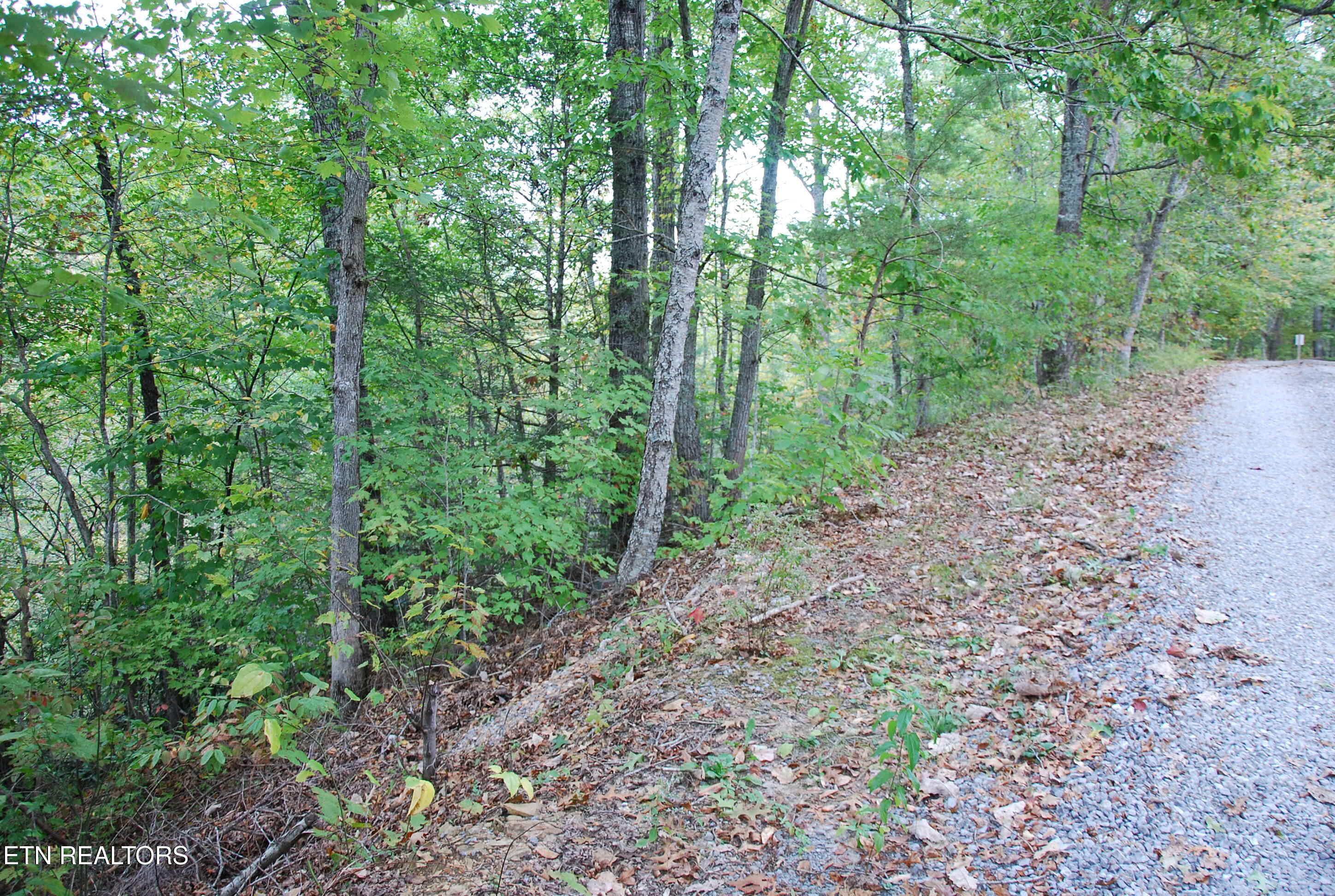 2017 Ridgecrest Loop Lane Sevierville, TN 37876 - Photo 5 of 17 DSC_0343