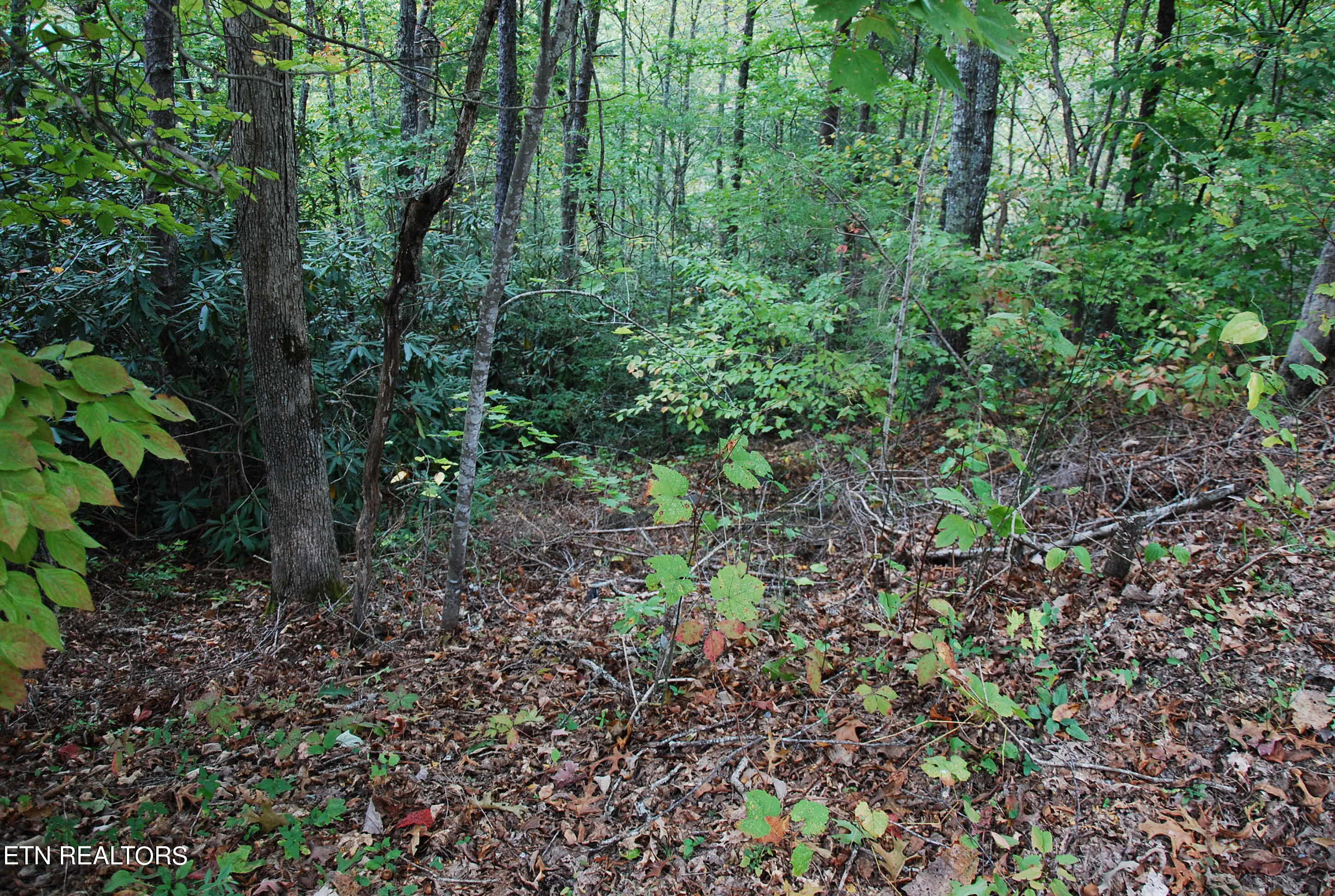 2017 Ridgecrest Loop Lane Sevierville, TN 37876 - Photo 6 of 17 DSC_0344