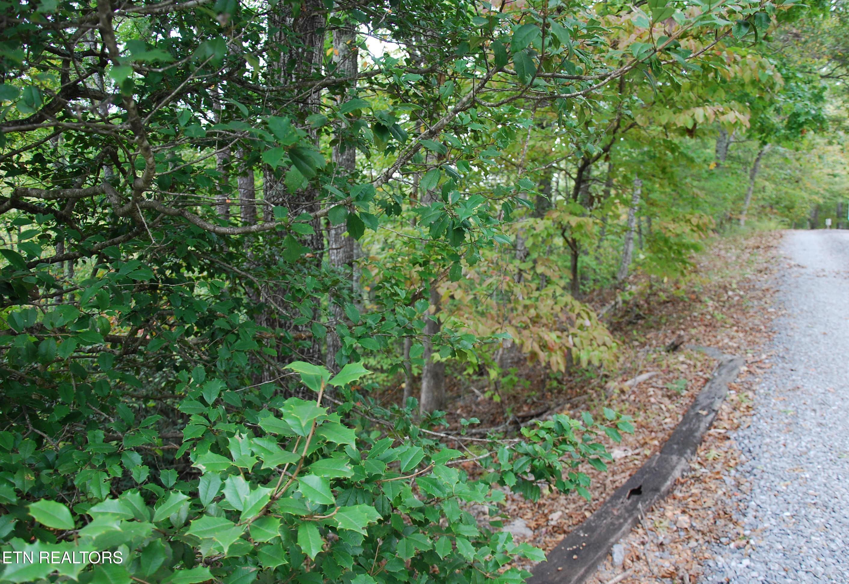2017 Ridgecrest Loop Lane Sevierville, TN 37876 - Photo 9 of 17 DSC_0347