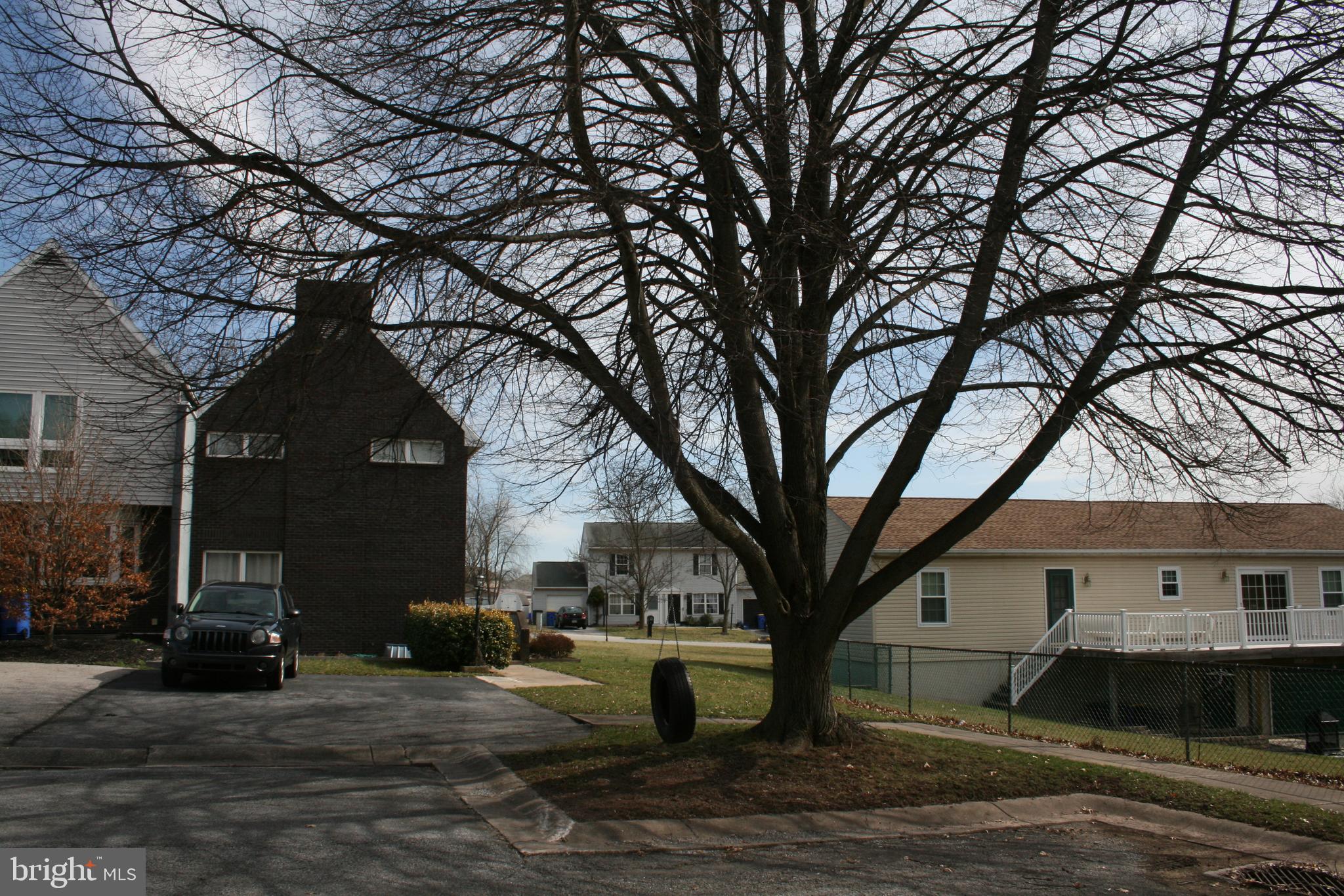 3116 Equinox Road Dover, PA 17315 - Photo 4 of 31 Very own tree with a rope swing