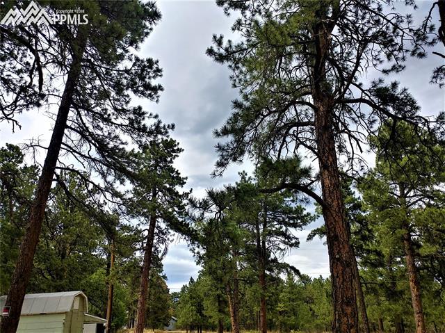 8137 Oak Drive Rye, CO 81069 - Photo 3 of 7 Gallery Image 3