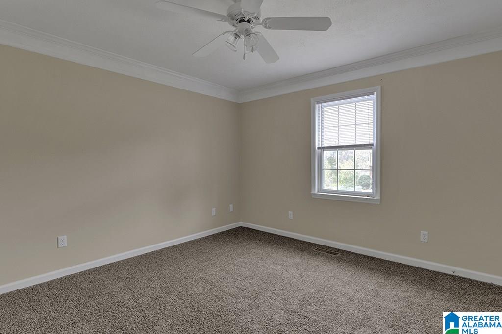 178 Dorr Road Oneonta, AL 35121 - Photo 11 of 18