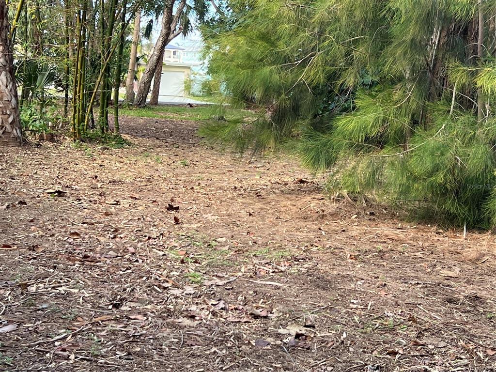 418 12th Avenue Indian Rocks Beach, FL 33785 - Photo 6 of 11