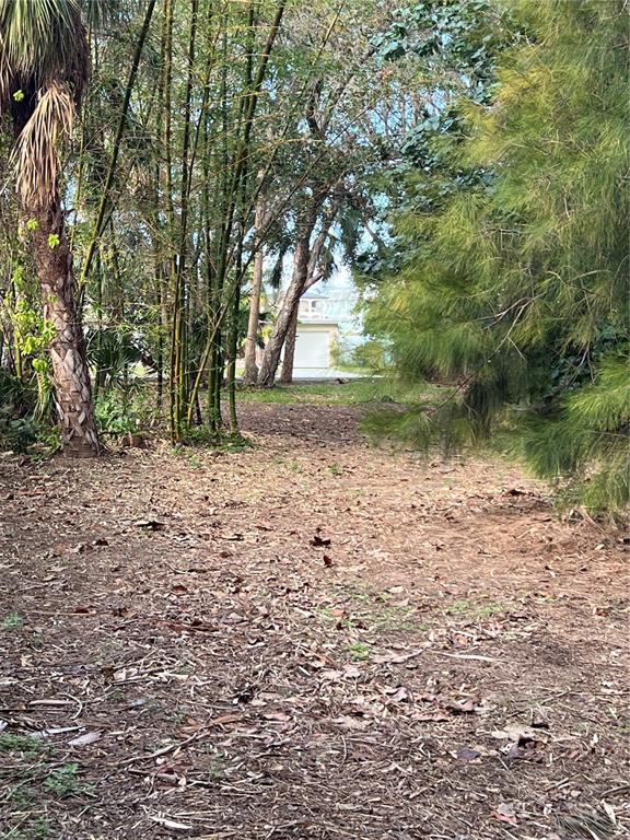 418 12th Avenue Indian Rocks Beach, FL 33785 - Photo 8 of 11