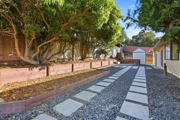 a view of a yard with large trees