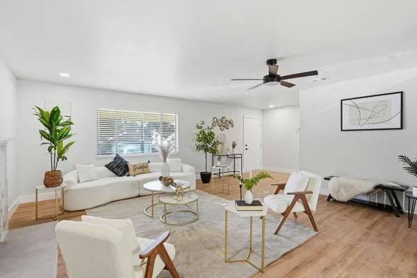 a living room with furniture potted plant and a wooden floor