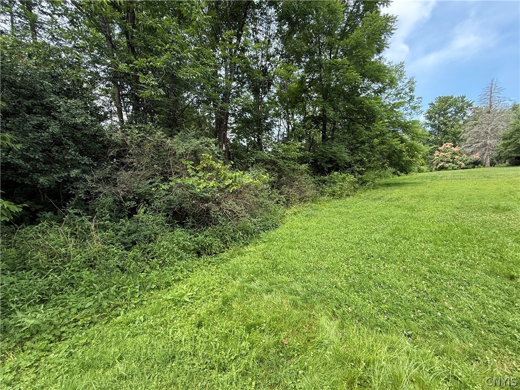 Prescott Road Deerfield, NY 13502 - Photo 5 of 15
