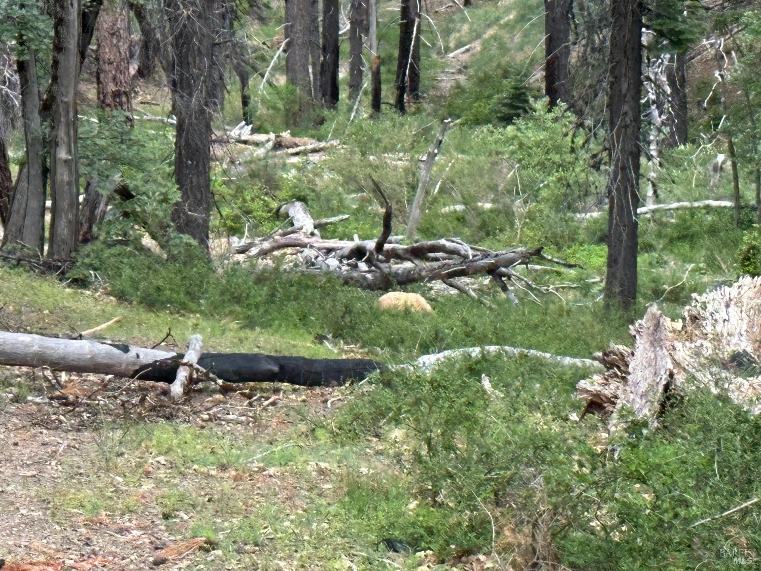 0 19 N 90 Road Potter Valley, CA 95469 - Photo 4 of 9