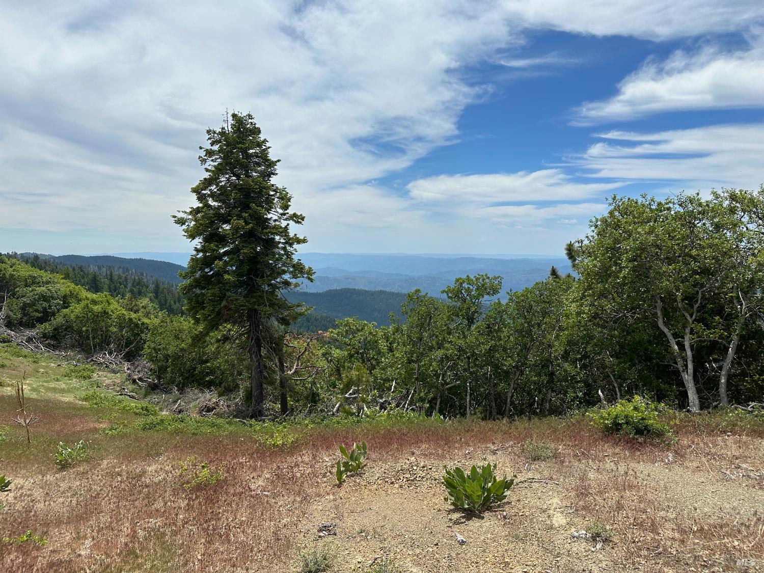 0 19 N 90 Road Potter Valley, CA 95469 - Photo 7 of 9