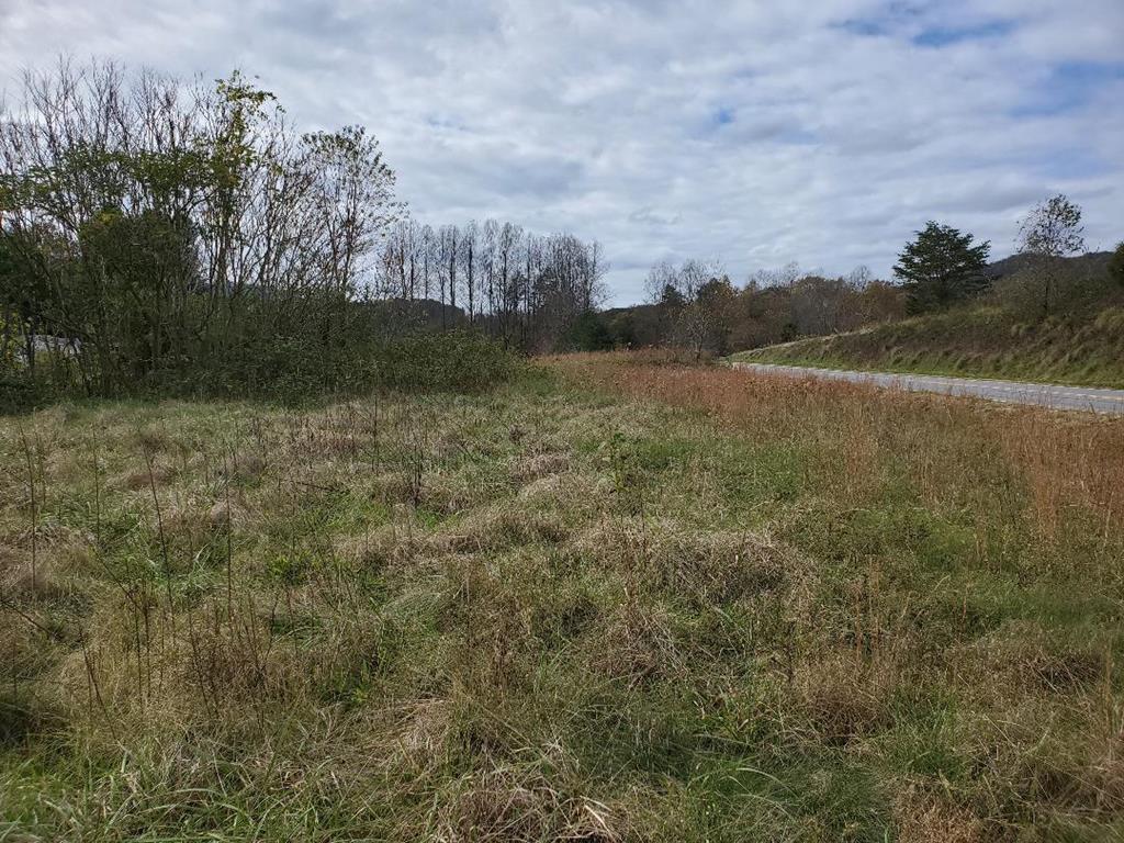 Tbd Rattle Snake Lane Stuart, VA 24171 - Photo 1 of 10 Gallery Image 1