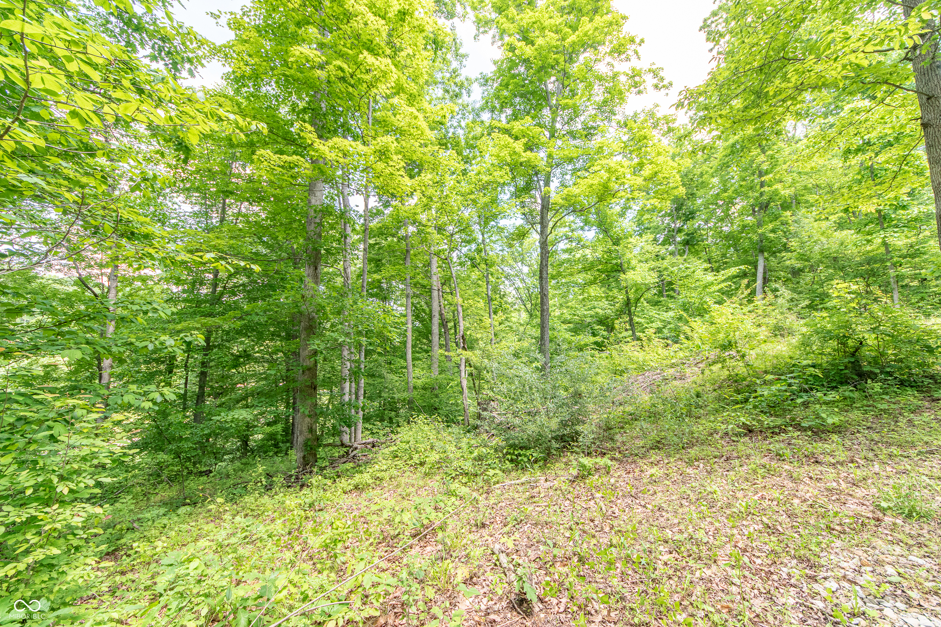 6753 Mt Moriah Road Nineveh, IN 46164 - Photo 9 of 14