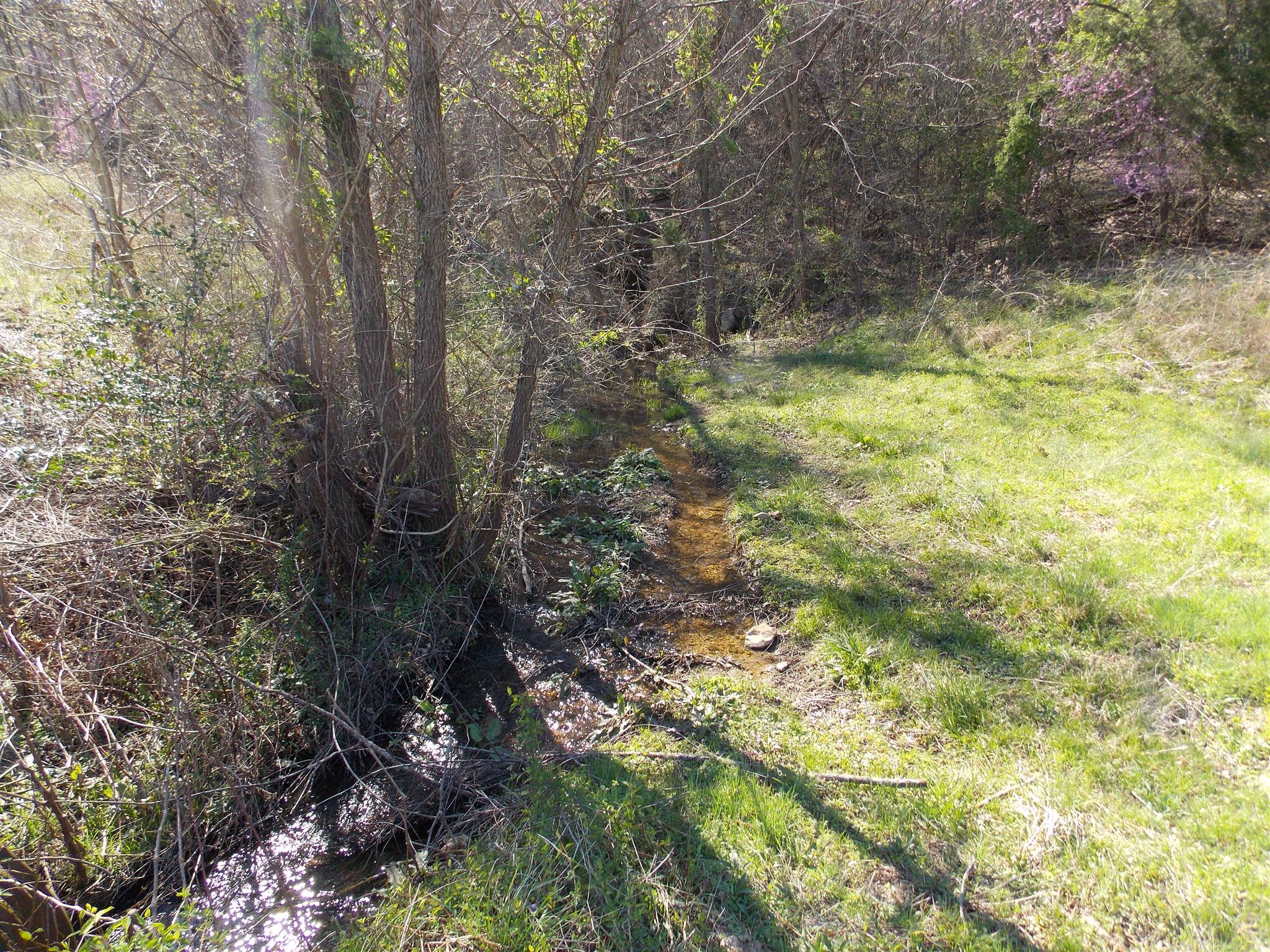 0 Spring Circle Linden, TN 37096 - Photo 1 of 9 Gallery Image 1