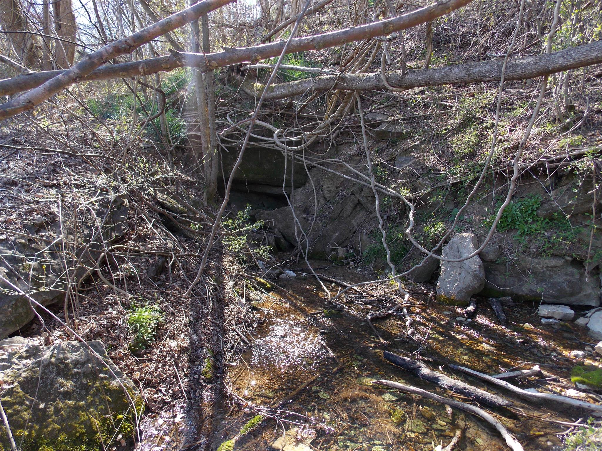 0 Spring Circle Linden, TN 37096 - Photo 3 of 9 Gallery Image 3