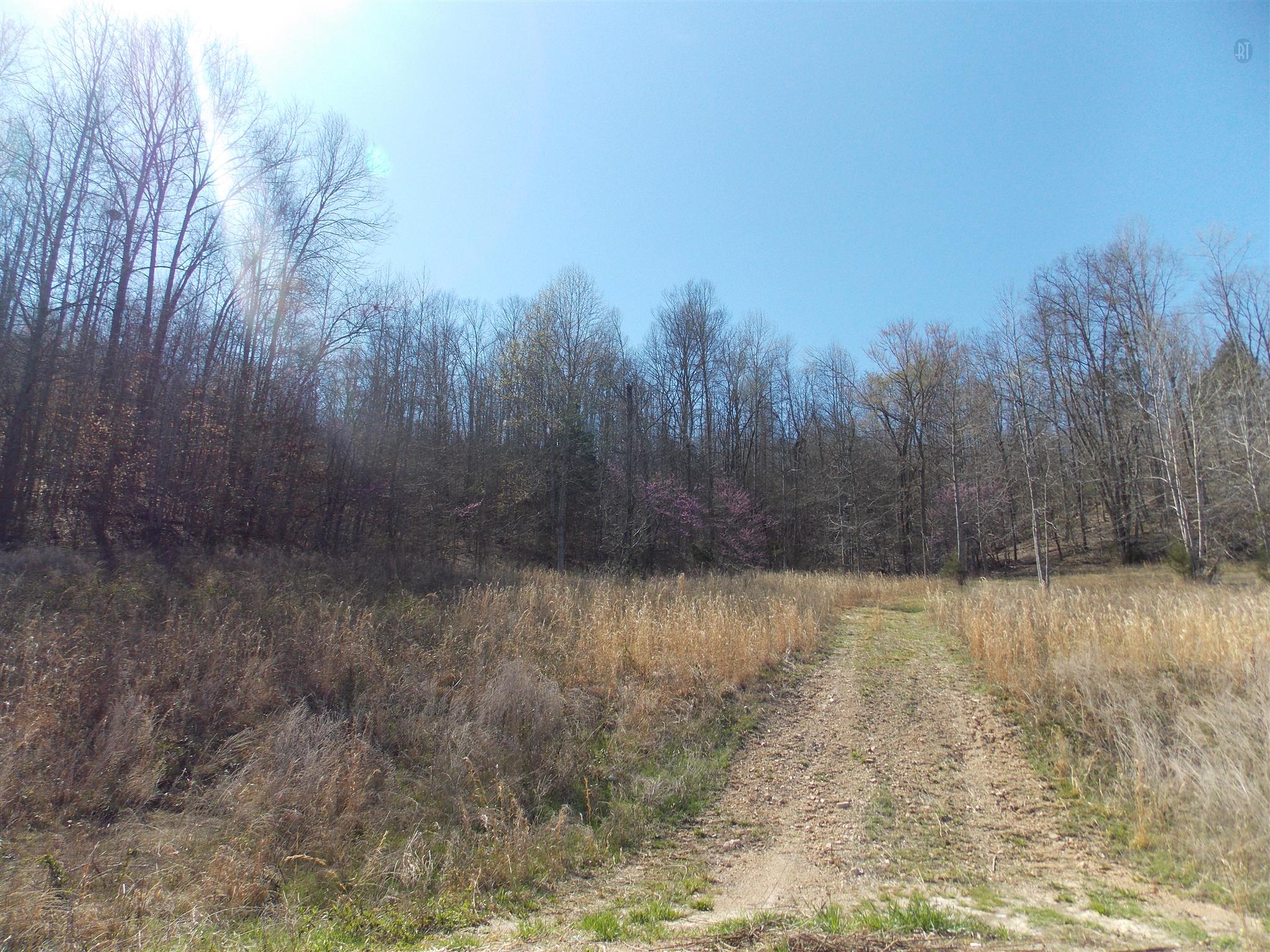 0 Spring Circle Linden, TN 37096 - Photo 8 of 9 Gallery Image 8