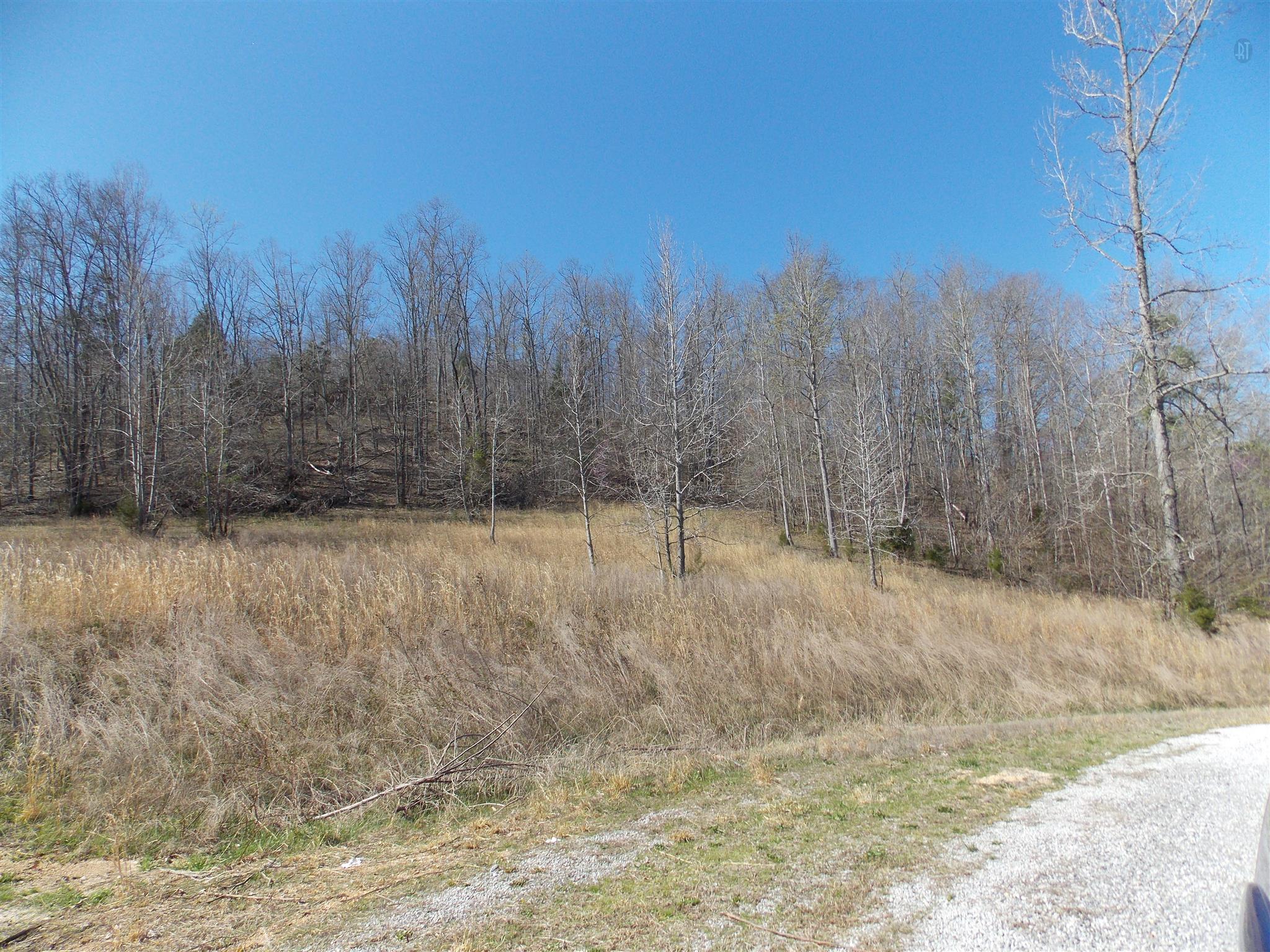 0 Spring Circle Linden, TN 37096 - Photo 9 of 9 Gallery Image 9