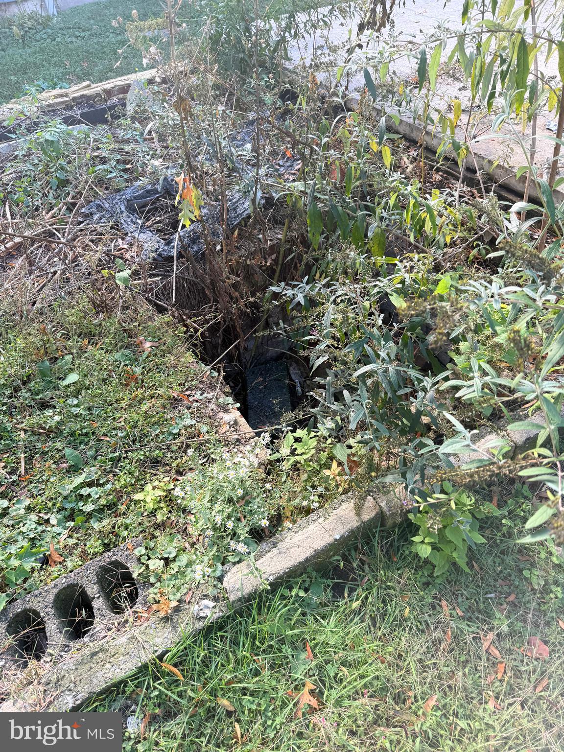 142 Cherry Street Mount Holly, NJ 08060 - Photo 9 of 9