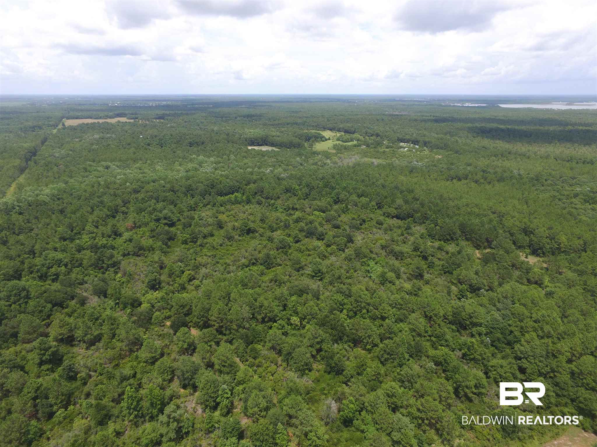 0 Baldwin Beach Expressway Gulf Shores, AL 36542 - Photo 8 of 11