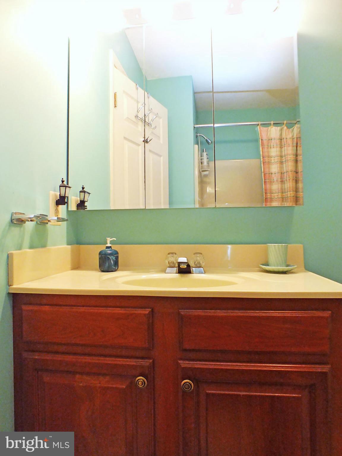 3848 Dakota Road Hampstead, MD 21074 - Photo 16 of 23 Hall Bath, View 2