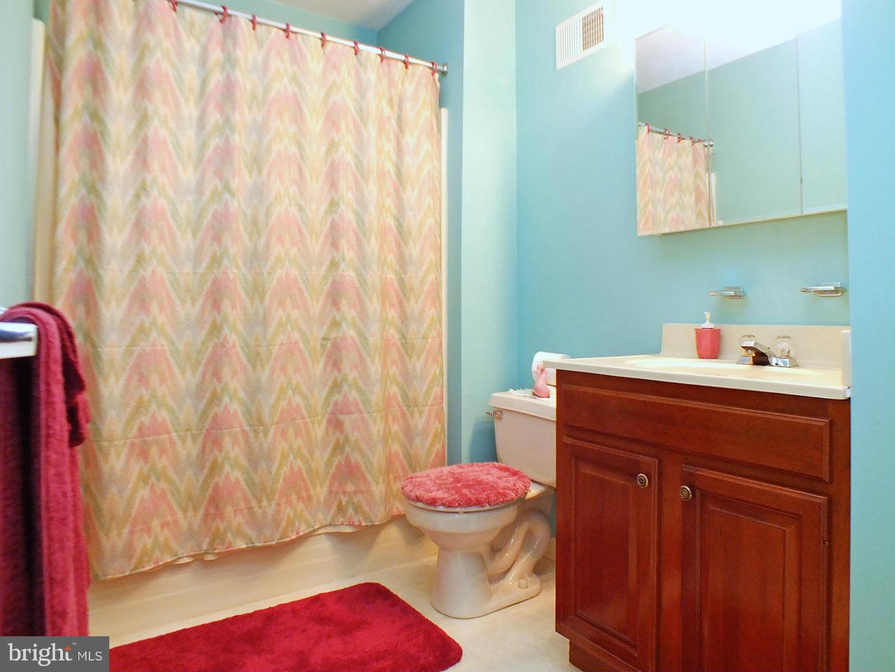 3848 Dakota Road Hampstead, MD 21074 - Photo 19 of 23 Lower Level Bath