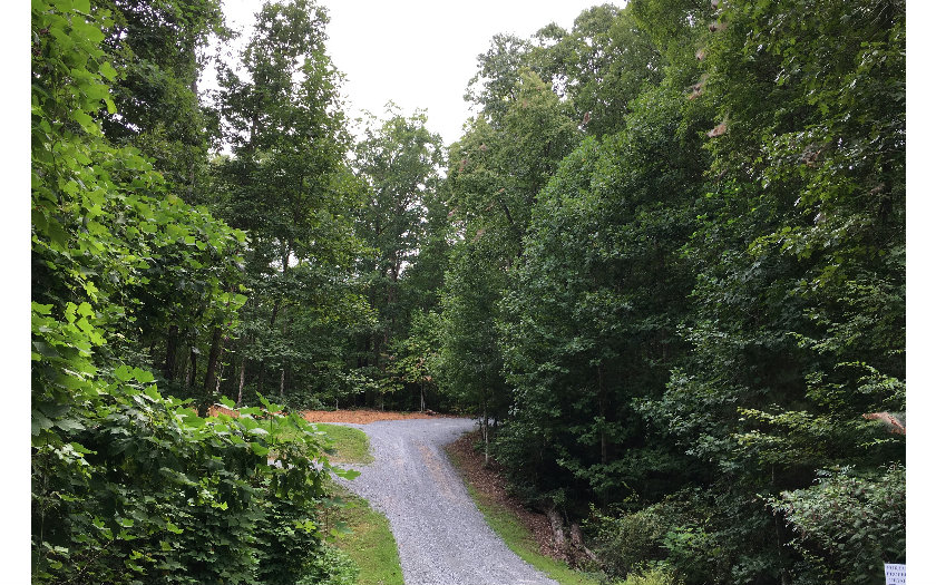 13 Lake Ridge Drive Blue Ridge, GA 30513 - Photo 1 of 1 Main View