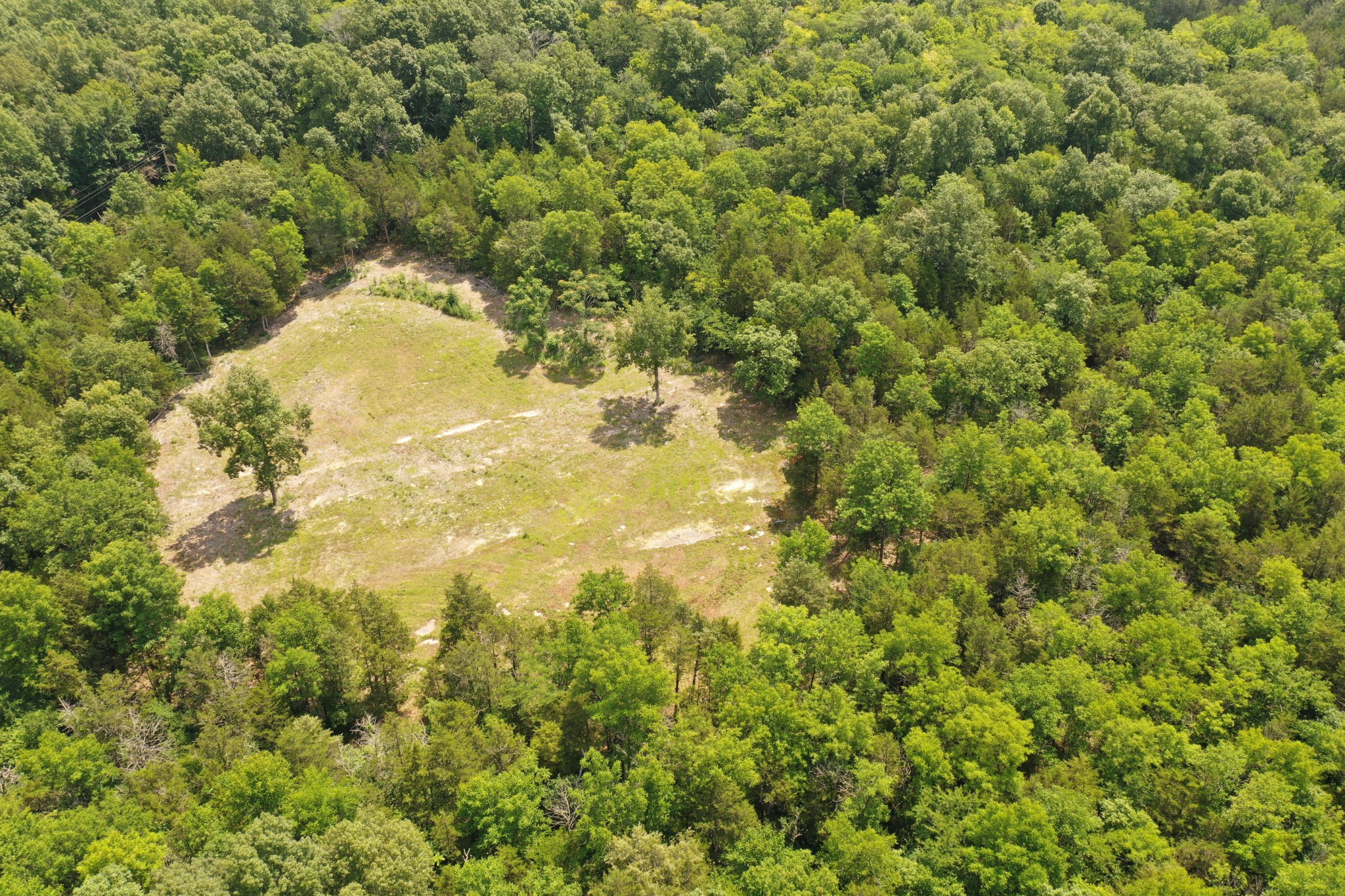0 Tom Littlejohn Road Columbia, TN 38401 - Photo 12 of 20